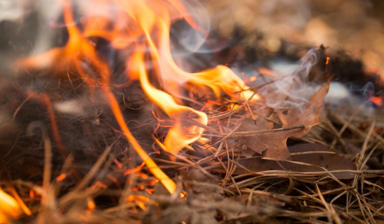 Quartu S. E. : incendio ai Fortini, nella zona di Pitz’e Serra