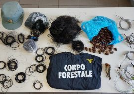 Corpo Forestale: operazioni a Teulada e Capoterra. Scoperta attività di bracconaggio aziendale su 210 ettari