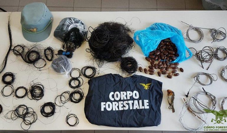 Corpo Forestale: operazioni a Teulada e Capoterra. Scoperta attività di bracconaggio aziendale su 210 ettari