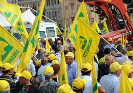 Commissione Regionale Agricoltura  incontra i giovani agricoltori