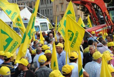 Commissione Regionale Agricoltura  incontra i giovani agricoltori