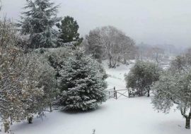 Sardegna: Sino a lunedì 26 febbraio freddo rigido con   nevicate e gelate 