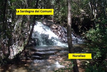 Rubrica: “La Sardegna dei Comuni” – Nurallao Rubrica: “La Sardegna dei Comuni” – Nurallao