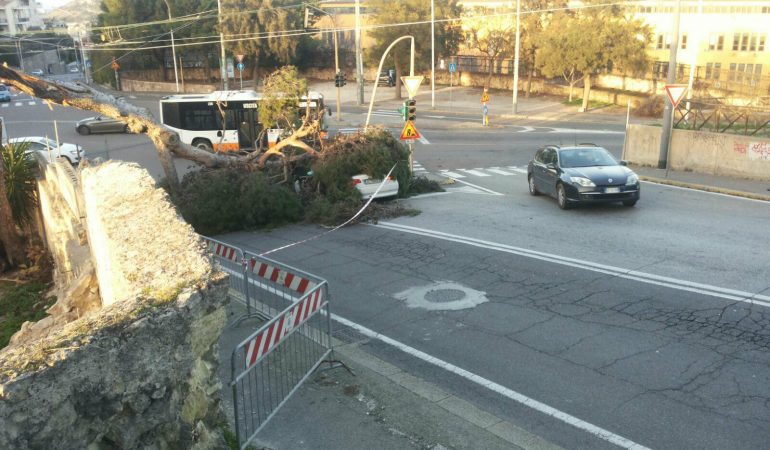 Cagliari: Piazza d’Armi riaperta al traffico