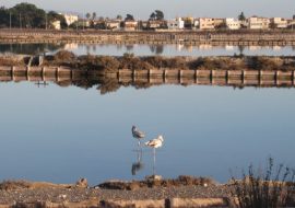 Rubrica: ”Una strada, un personaggio, una Storia” – Cagliari, via S’Arrulloni