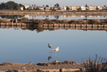 Rubrica: ”Una strada, un personaggio, una Storia” – Cagliari, via S’Arrulloni