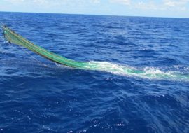 La Guardia costiera contro la pesca illegale nel Golfo di Cagliari.