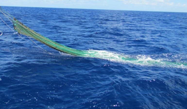 La Guardia costiera contro la pesca illegale nel Golfo di Cagliari.