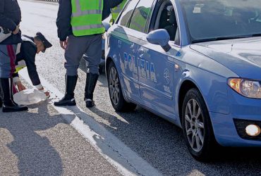 Nuoro: Schianto tra auto e Tir sulla 131. Muore passeggera di 84 anni