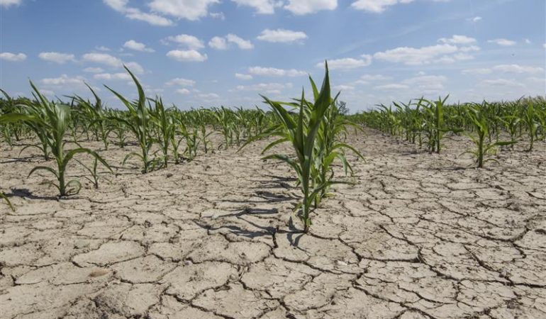 Siccità: Garantita la stessa erogazione di acqua degli scorsi anni