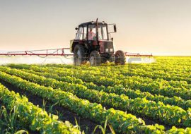 Pagamenti agricoli: firmato da Agea decreto da 2,9 milioni per la Sardegna