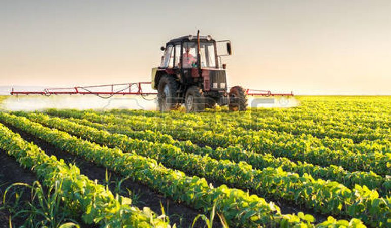 Pagamenti agricoli: firmato da Agea decreto da 2,9 milioni per la Sardegna