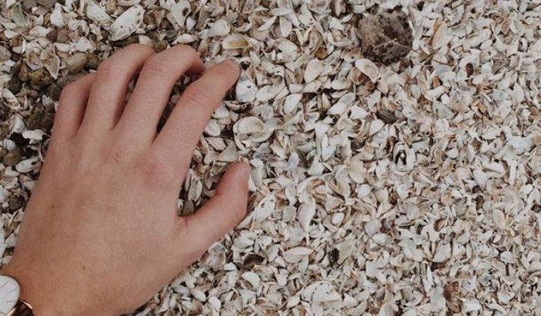 Turita preleva sabbia conchiglie e sassi: multato