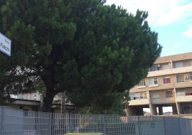 Rubrica: ”Una strada, un personaggio, una Storia” – Cagliari, piazza Luigi Falchi