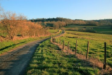 Viabilità rurale: pubblicato bando da  20 milioni destinato a Comuni singoli o associati e ai  Consorzi di strade vicinali