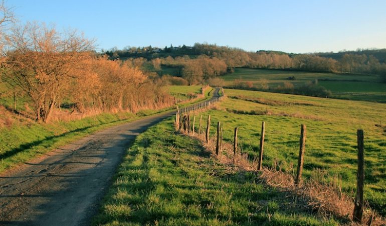 Viabilità rurale: pubblicato bando da  20 milioni destinato a Comuni singoli o associati e ai  Consorzi di strade vicinali