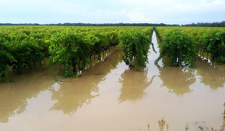 Emergenza maltempo . Inizia la conta dei danni